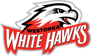 Mound Westonka