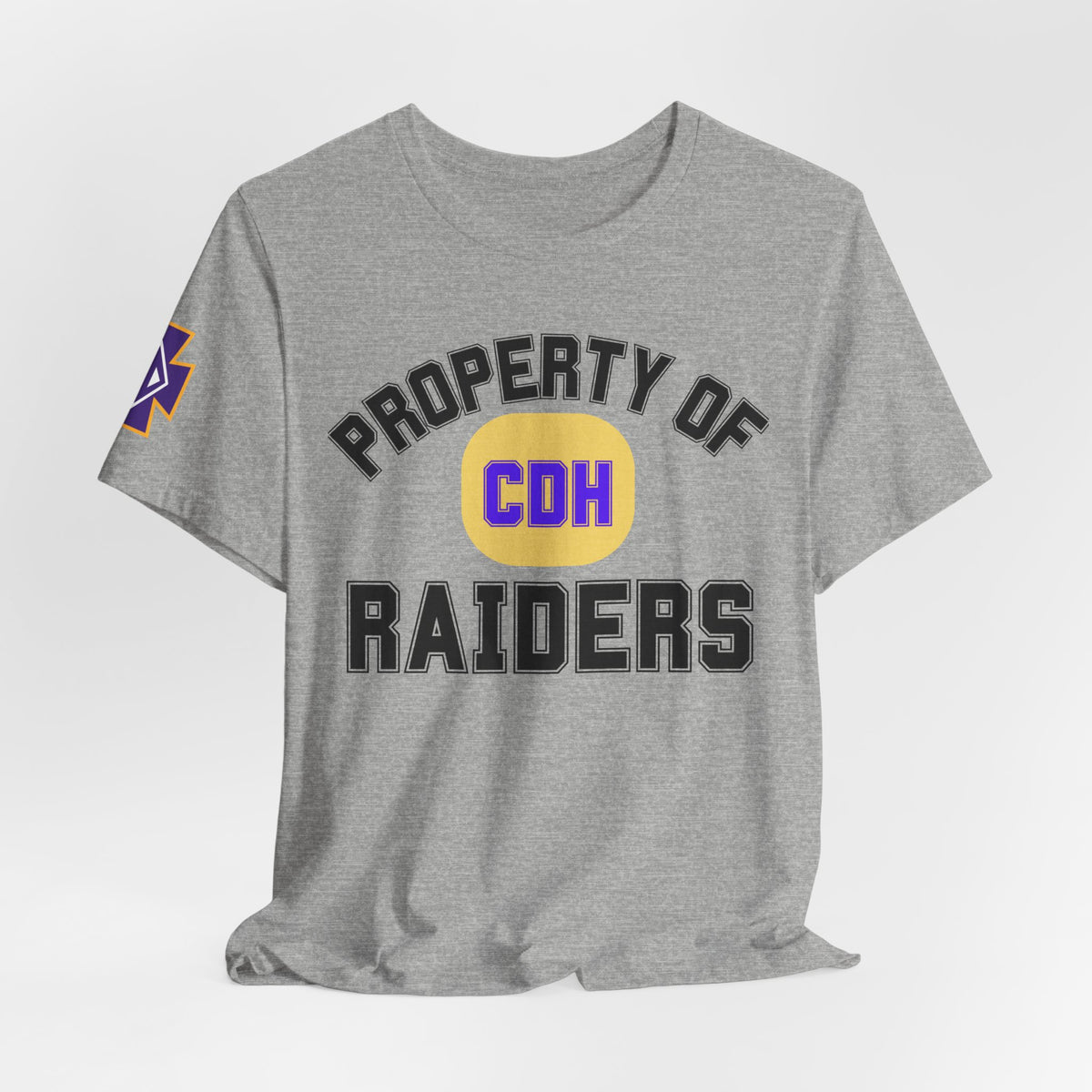 Cretin Derham Hall CDH Raiders Property Of Team T-Shirt
