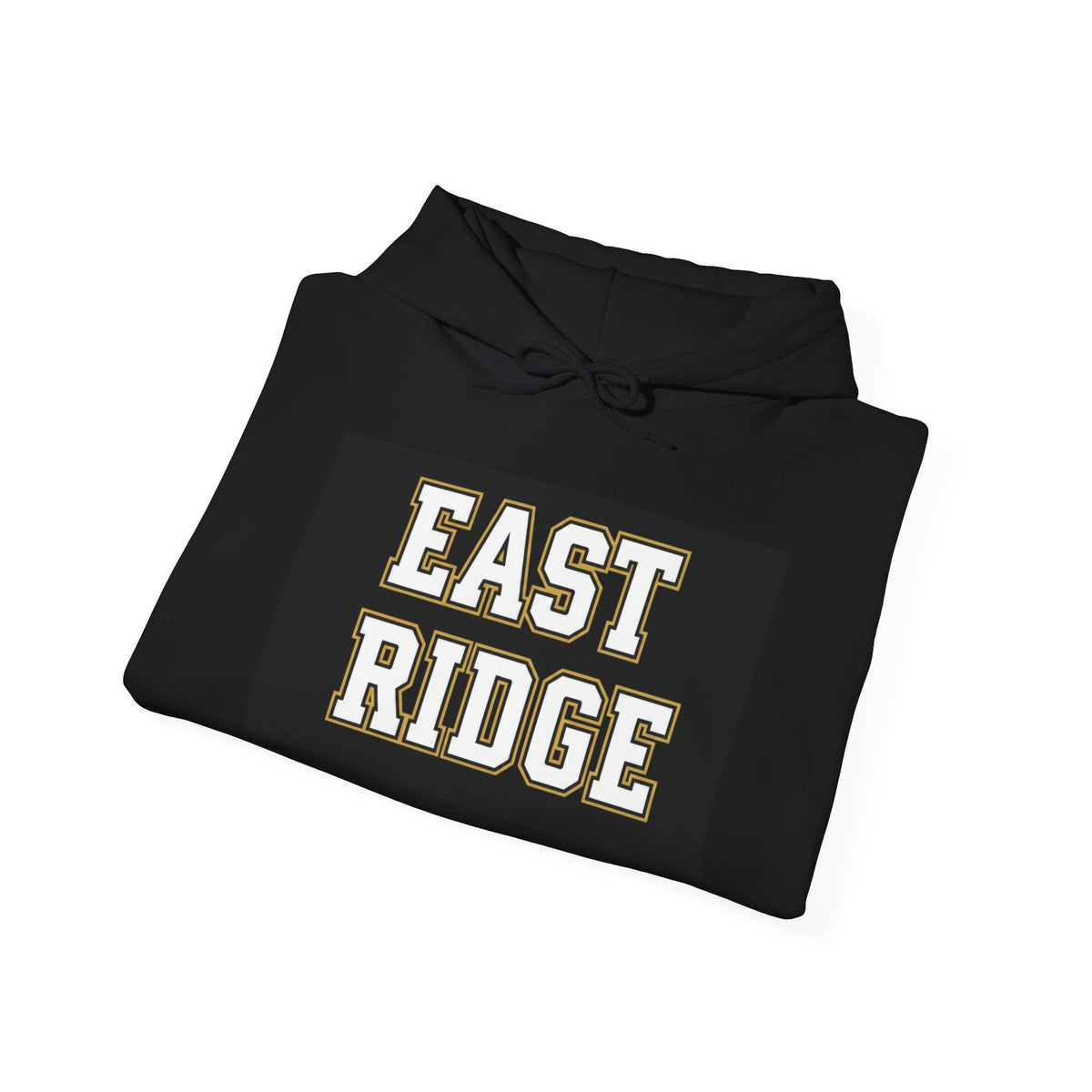 East Ridge Raptors Hoodie — Vintage School Mascot Sweatshirt