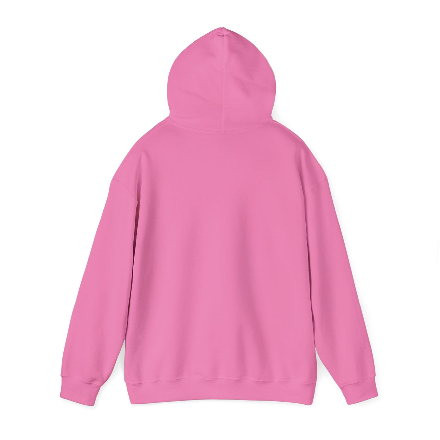 Park Center Pirates Character Unisex Hoodie