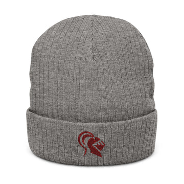 Embroidered Ribbed Knit Beanie - Stylish Winter Hat for Men and Women
