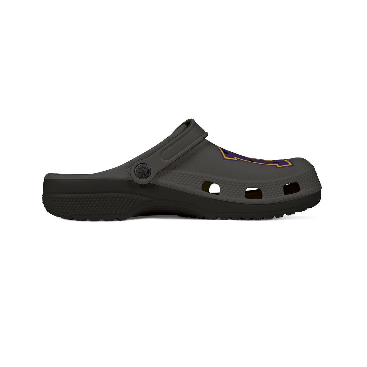 Saint Paul Washington Eagles Foam Rubber Clogs