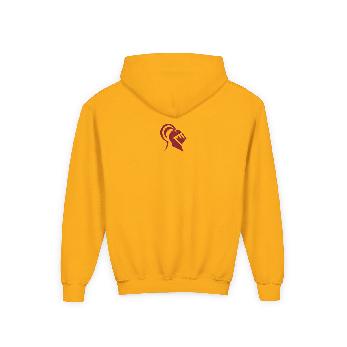 Irondale Knights Champion Youth Hooded Sweatshirt