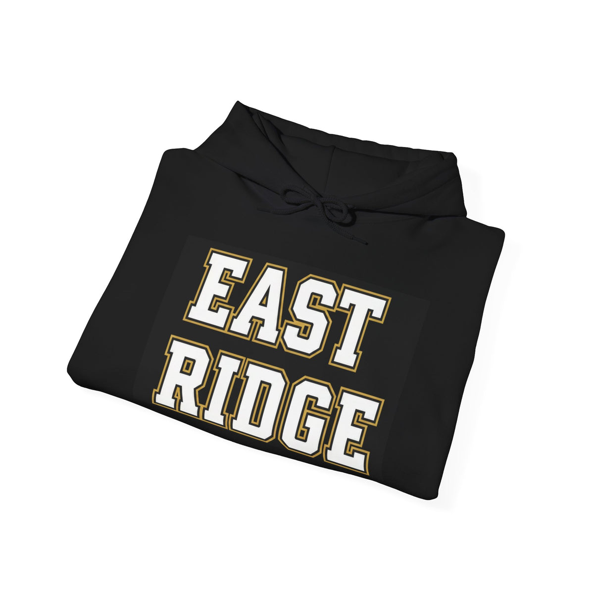 East Ridge Raptors Hoodie — Vintage School Mascot Sweatshirt