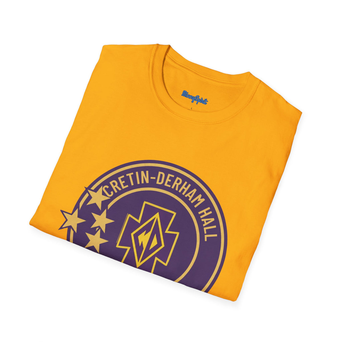 Cretin Derham-Hall Raiders Purple & Gold School Spirit T-Shirt
