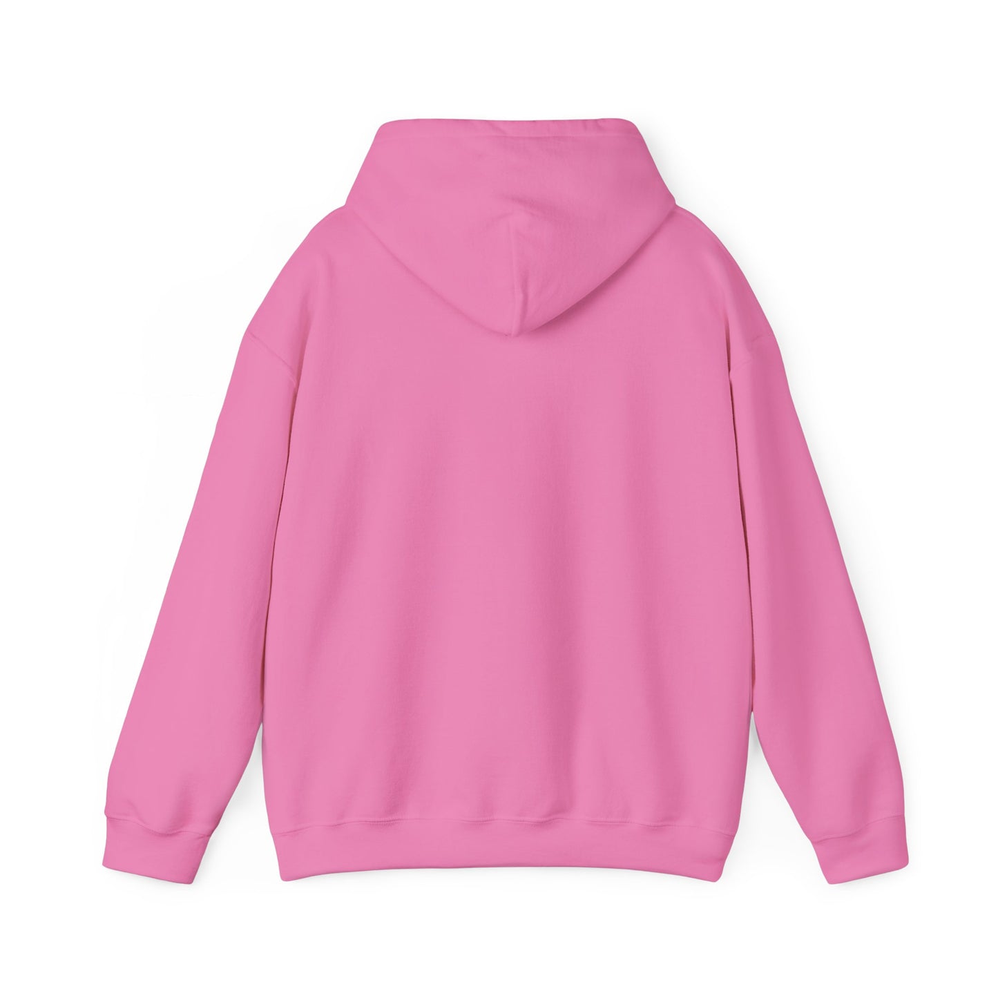 Park Center Pirates Character Unisex Hoodie