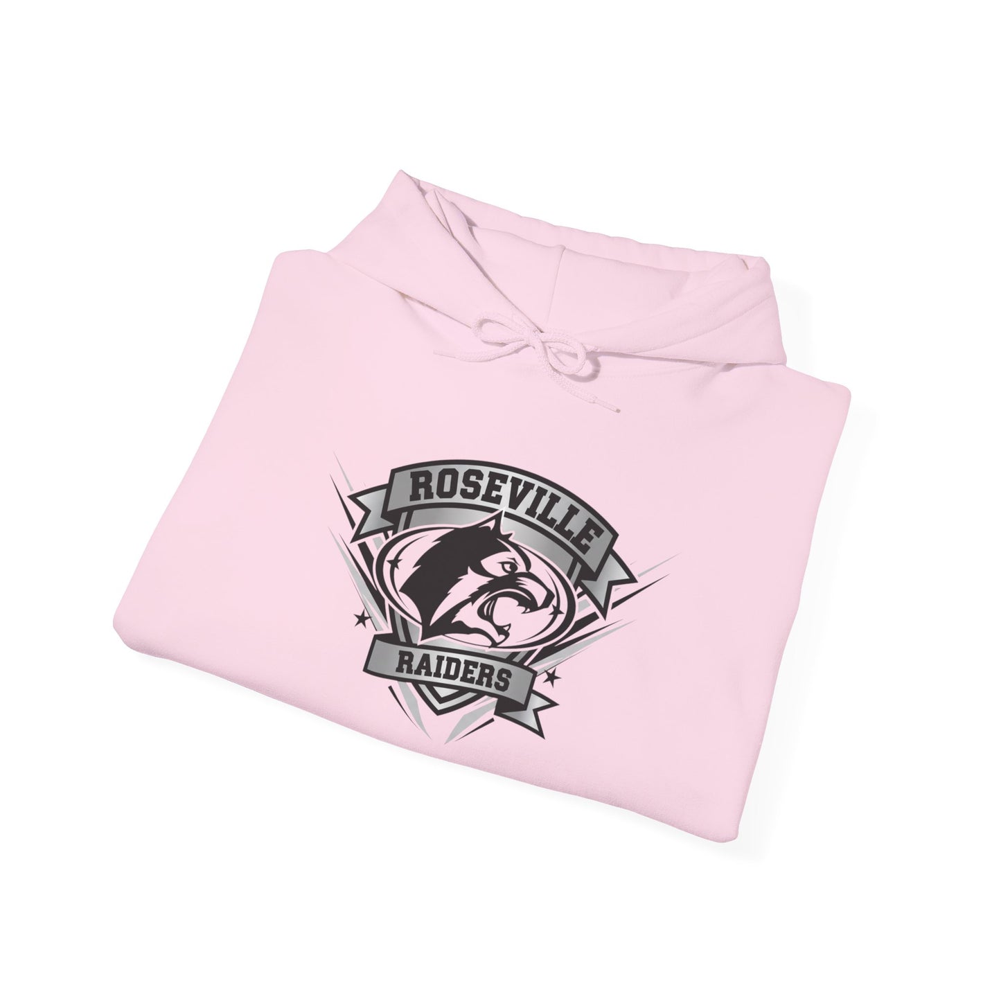 Roseville Raiders Vintage School Mascot Sweatshirt