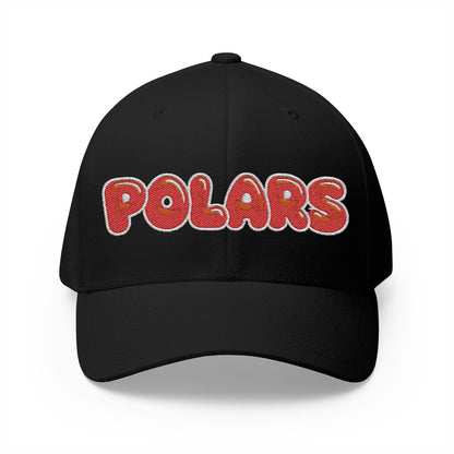 North Saint Paul Polars Bubble Logo Embroidered Cap