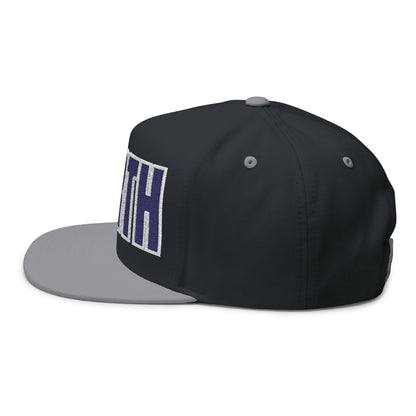 Minneapolis North Embroidered Flat Bill Cap