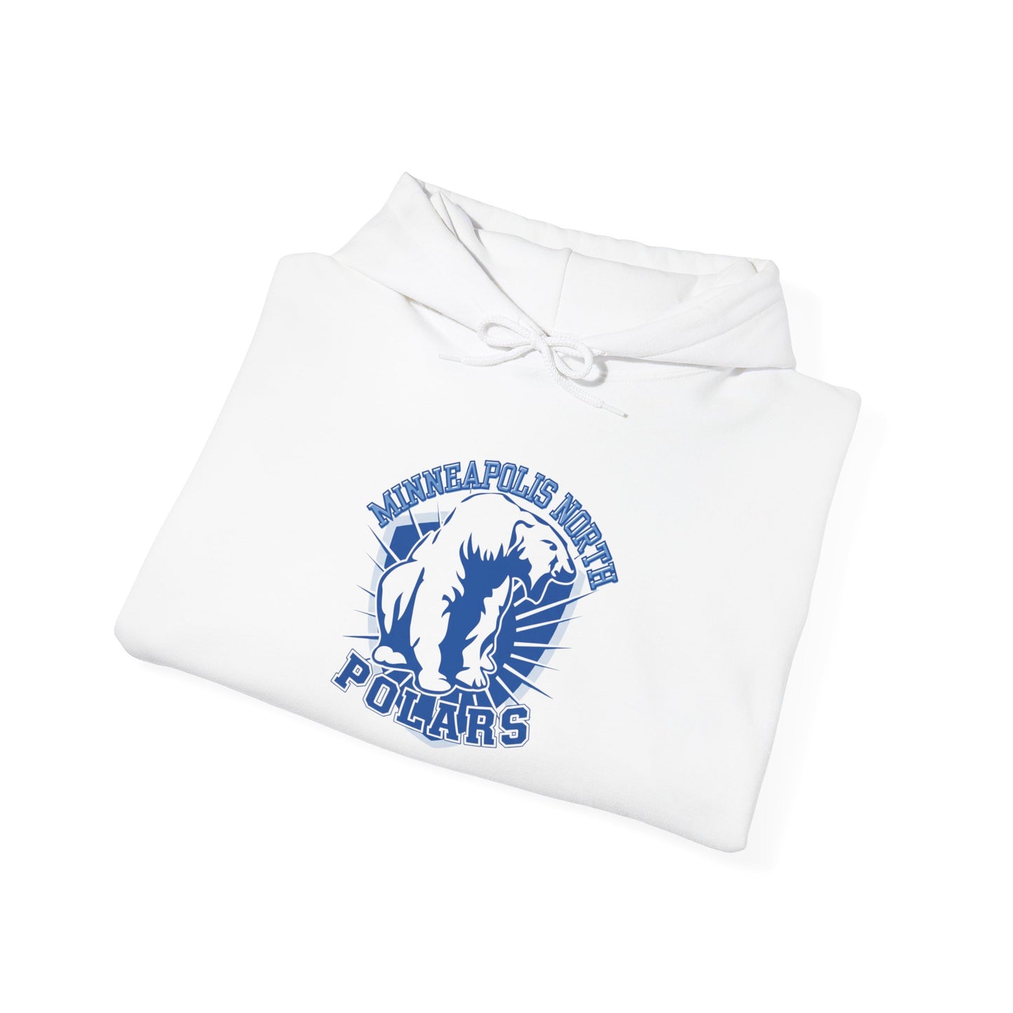 Vintage Minneapolis North Polars Hoodie