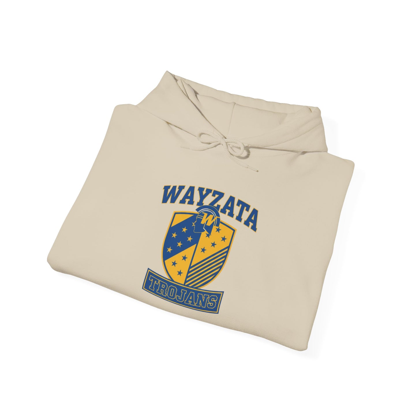 Wayzata Trojans Vintage Hoodie