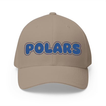 Minneapolis North Polars Embroidered Cap - Classic Style Hat