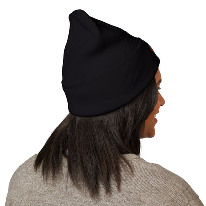 North Saint Paul Polars Classic Cuffed Beanie Hat