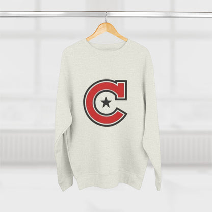 Minneapolis Camden Unisex Crewneck Sweatshirt  - Cozy Everyday Wear