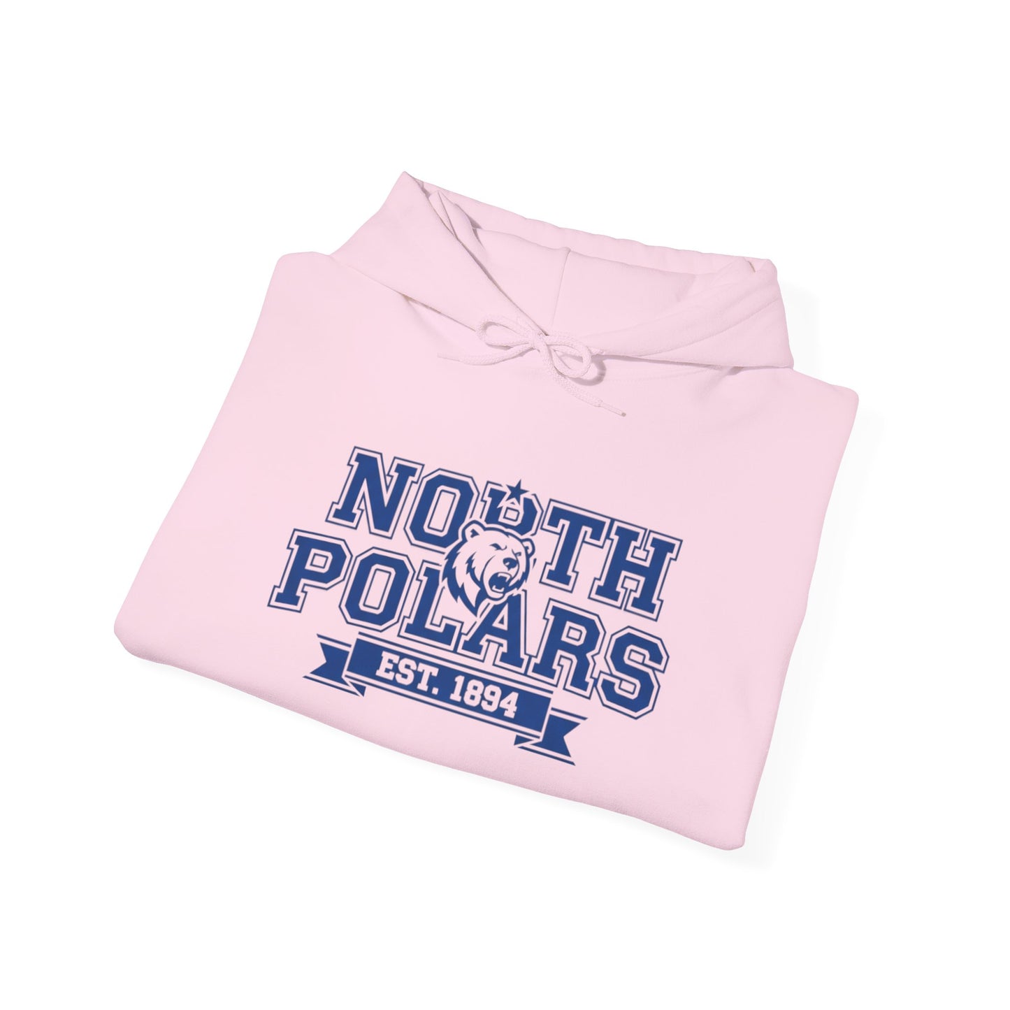 Minneapolis North Polars Vintage Design Sweatshirt