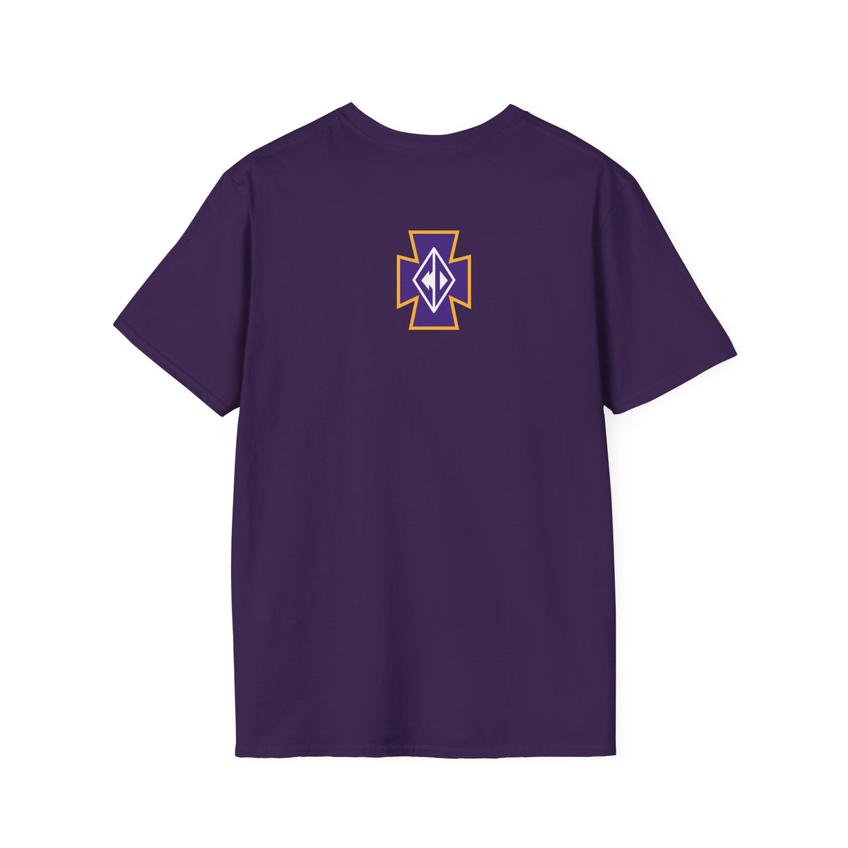 Cretin Derham Hall Raiders Side Block T-Shirt