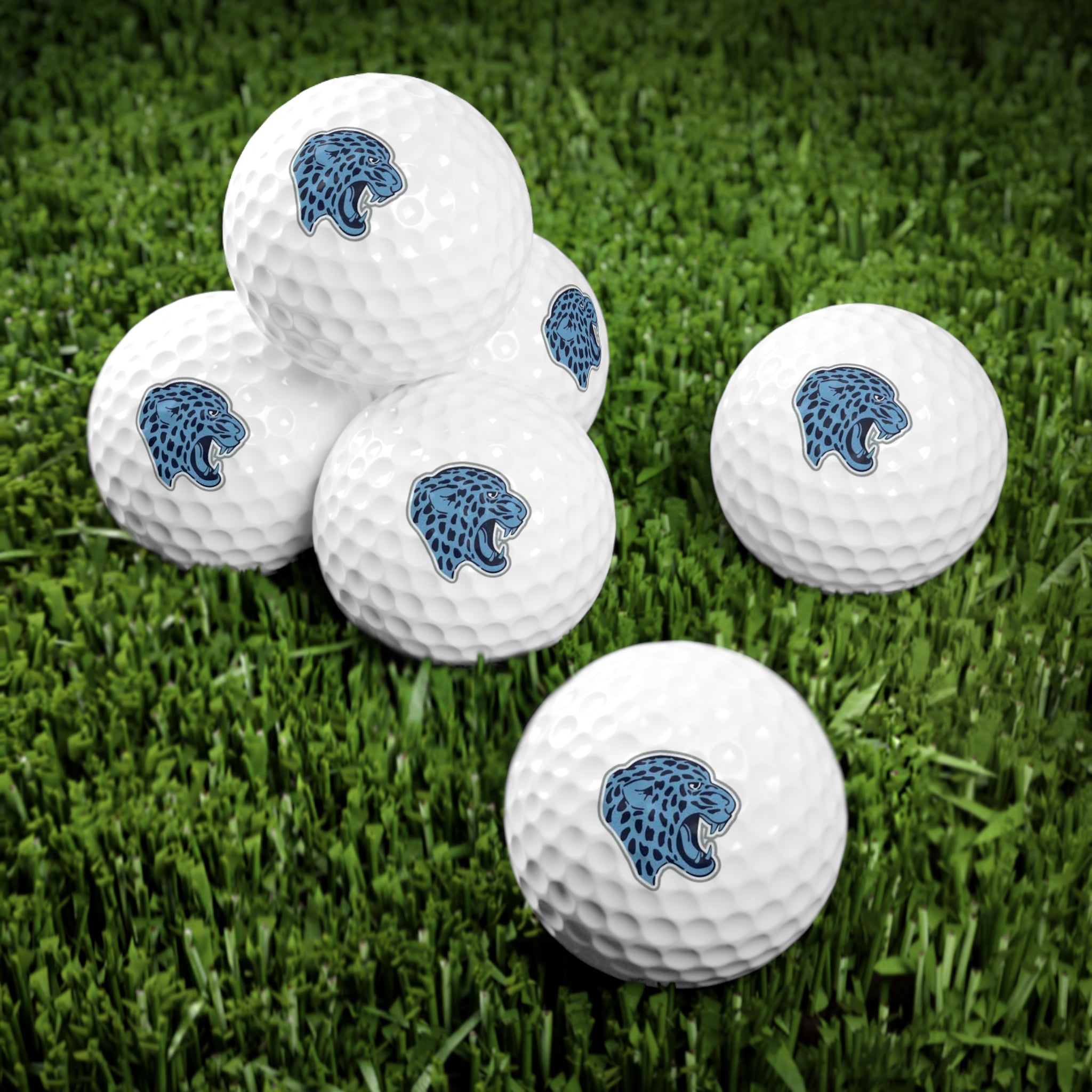 Bloomington Jefferson Jaguars Golf Balls Set - 6 Pack with Unique Design for Golf Enthusiasts