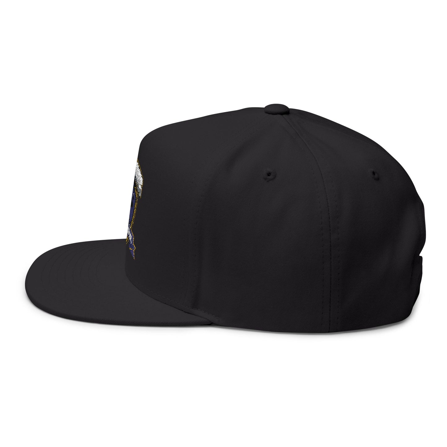 Chaska Hawks basketball cap showcasing a stylish flat bill design and vintage varsity energy.