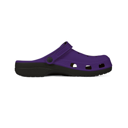 Minneapolis Southwest Lakers EVA Foam Clogs - Stylish Comfortable Shoes for Sports Fans