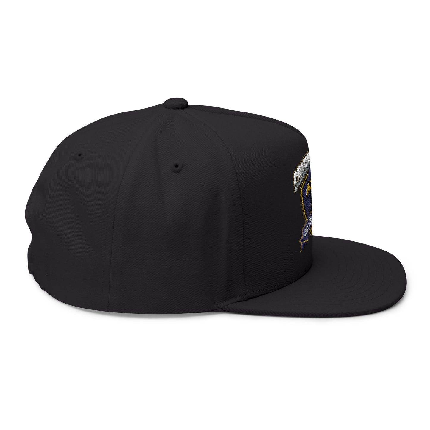 Chaska Hawks Basketball Cap - 2026 State Boys Basketball Champions - Flat Bill