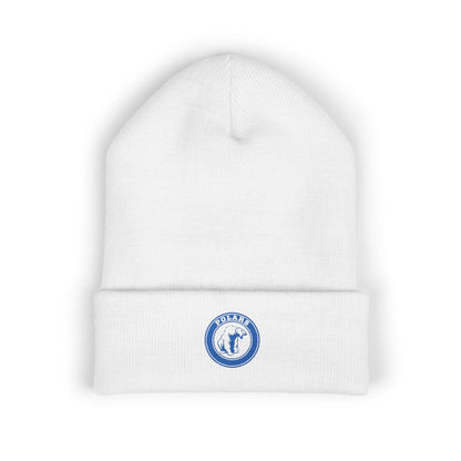 Minneapolis North Polars Classic Cuffed Beanie Hat