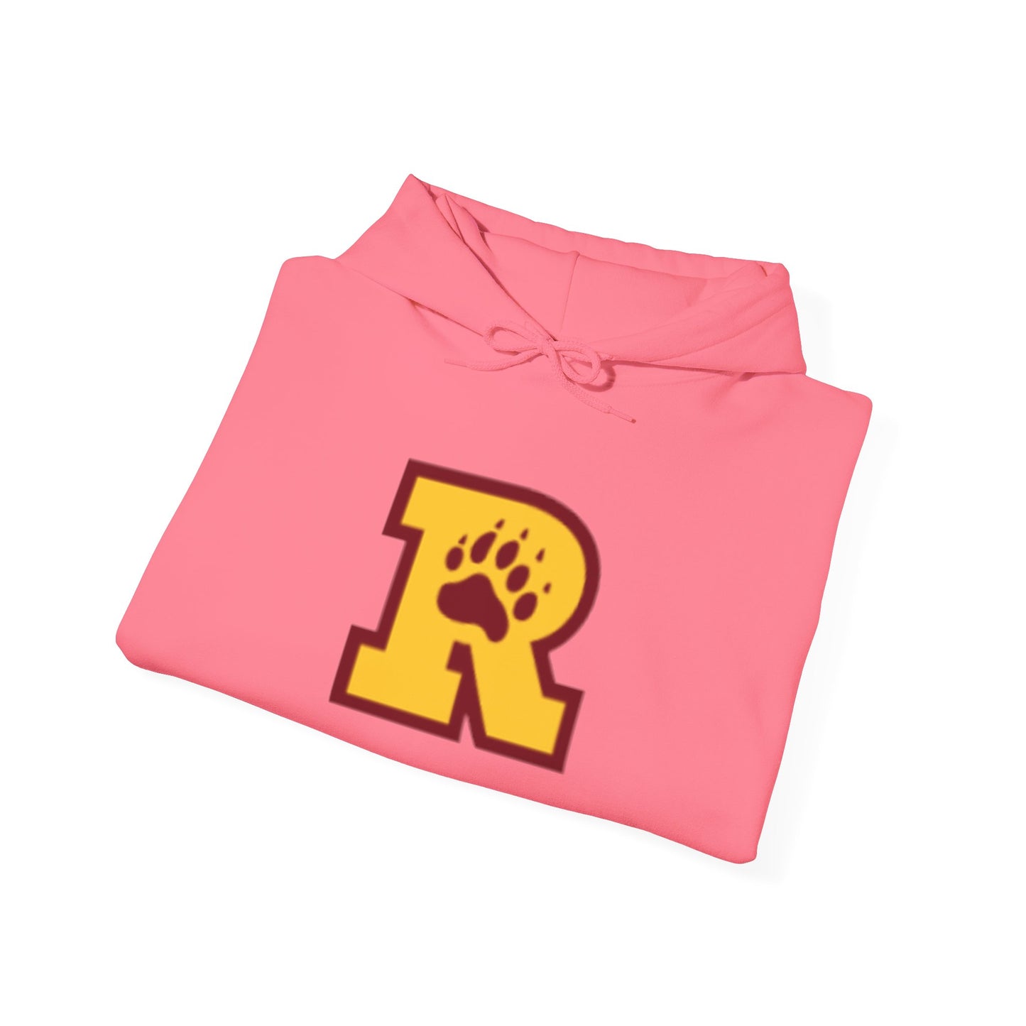 Minneapolis Roosevelt Teddies Cozy Unisex Hooded Sweatshirt