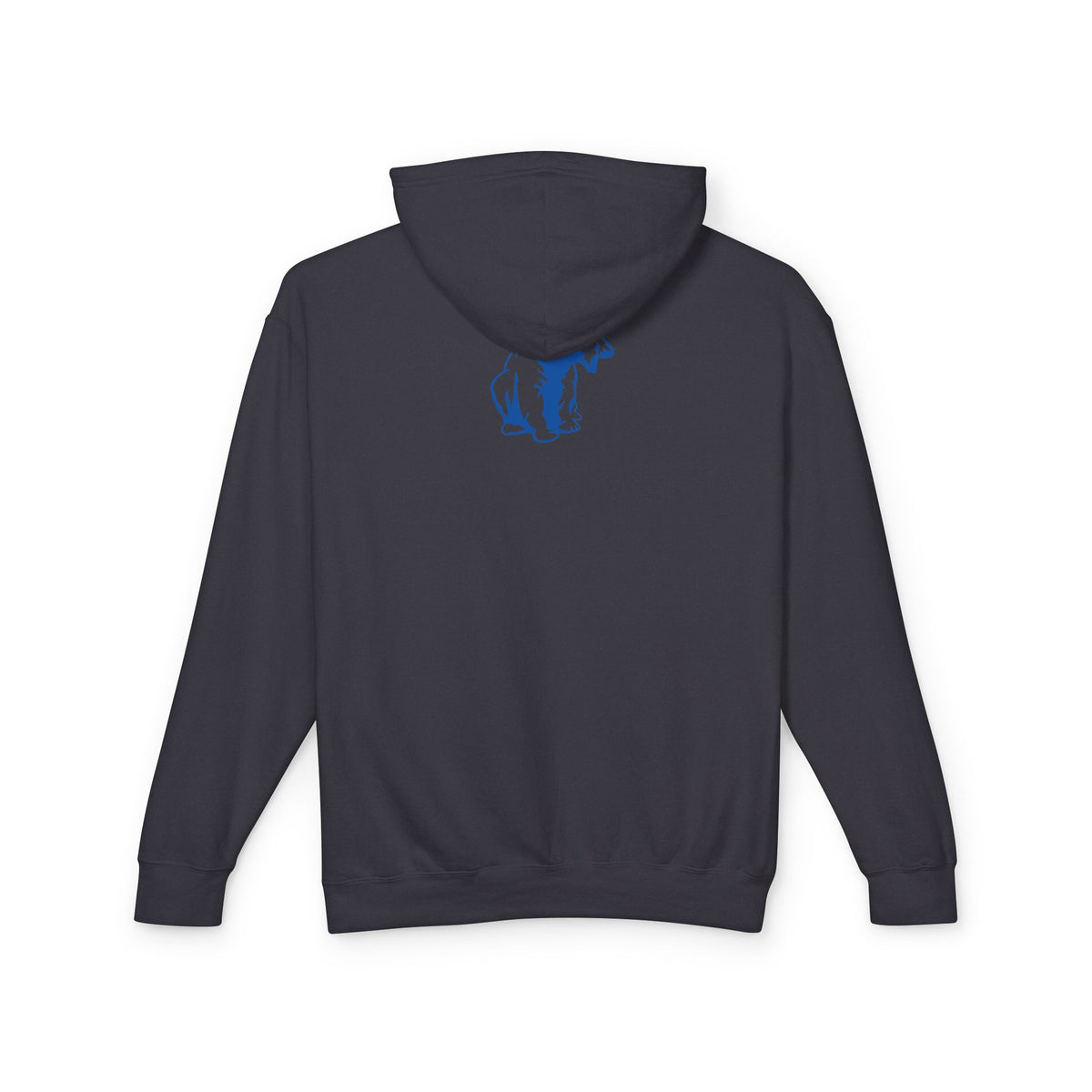 Minneapolis North Polars Lightweight Hooded Sweatshirt