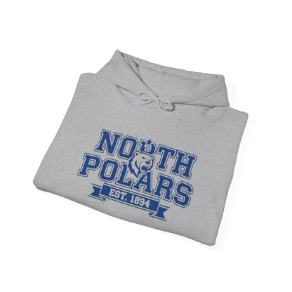 Minneapolis North Polars Vintage Design Sweatshirt