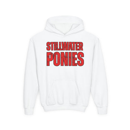 Stillwater Ponies Youth Hoodie