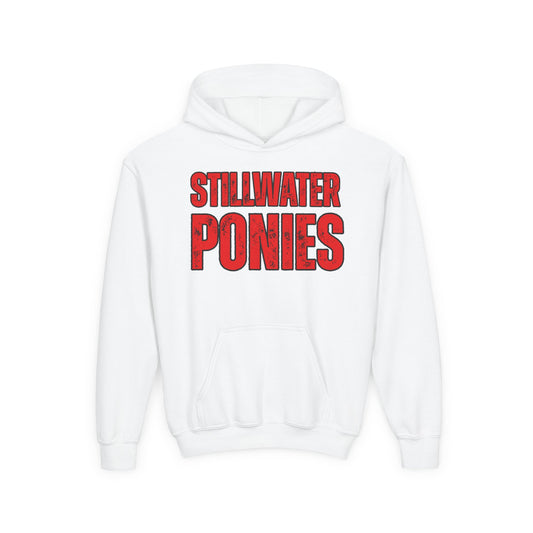 Stillwater Ponies Youth Hoodie