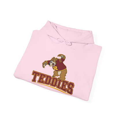 Minneapolis Roosevelt Teddies Vintage Hoodie