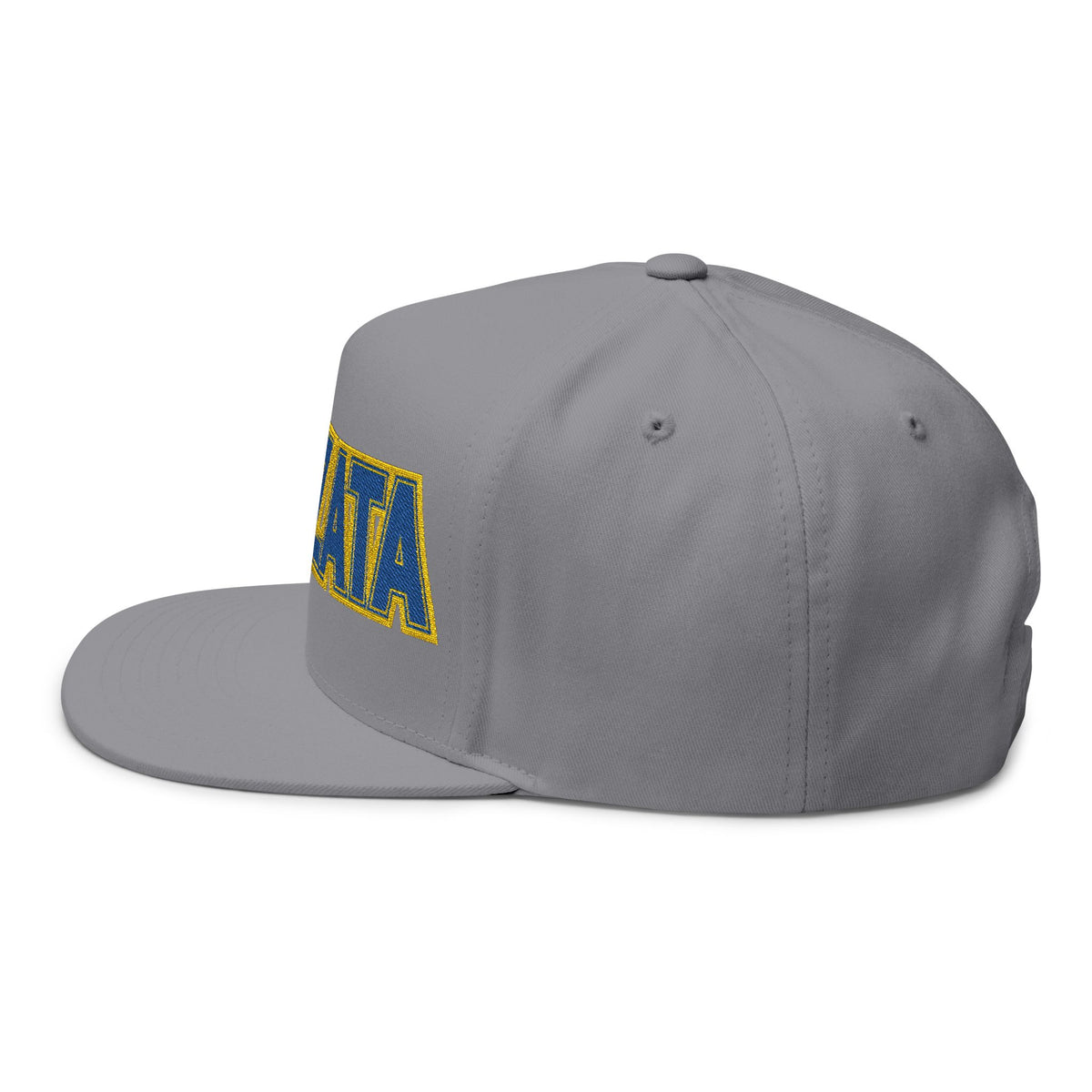 Wayzata Trojans Flat Bill Cap
