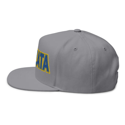 Wayzata Trojans Flat Bill Cap