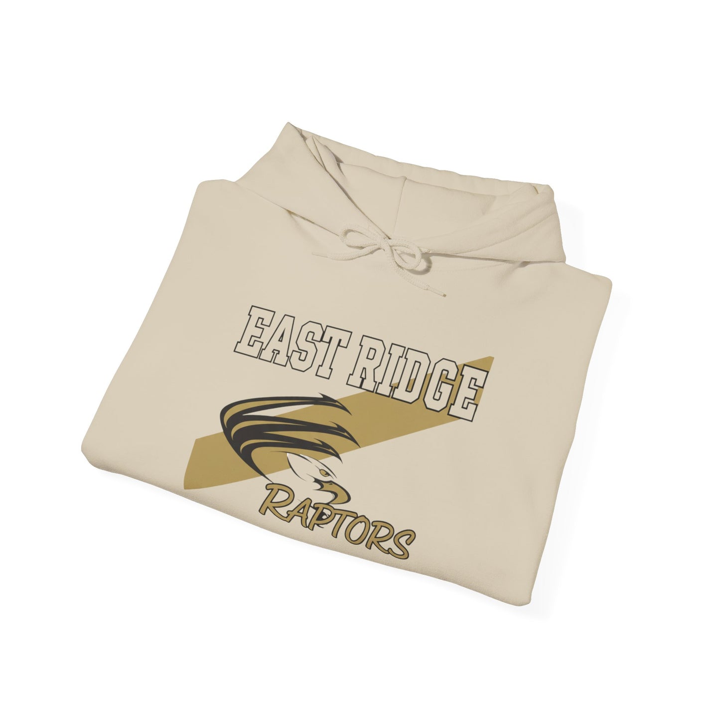 East Ridge Raptors Hoodie — Vintage School Mascot Sweatshirt
