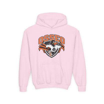 Youth Hooded Sweatshirt - 'Osseo Orioles' Design