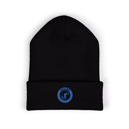 Minneapolis North Polars Classic Cuffed Beanie Hat