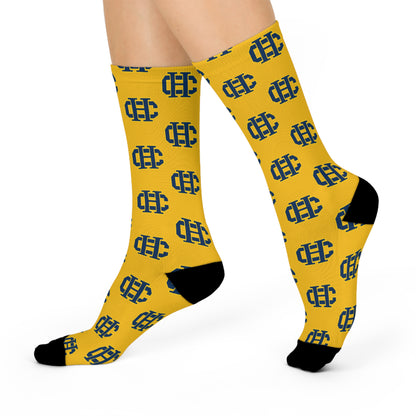 Columbia Heights Hylanders Cushioned Crew Socks