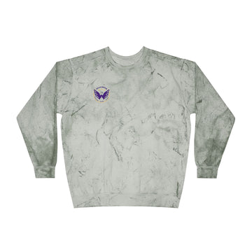 Saint Paul Washington Tech Unisex Color Blast Sweatshirt