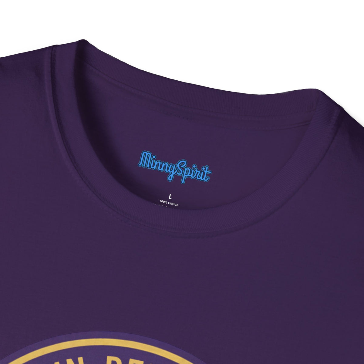 Cretin Derham-Hall Raiders Purple & Gold School Spirit T-Shirt