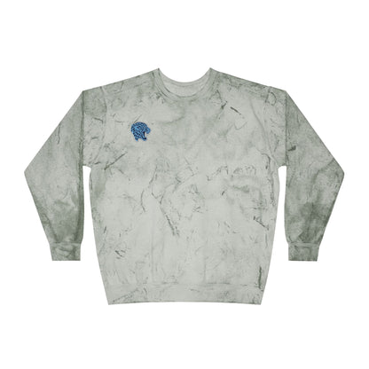 Bloomington Jefferson Jaguars Color Blast Crewneck Sweatshirt for a Vibrant Vibe, Unisex Tie-Dye Fashion
