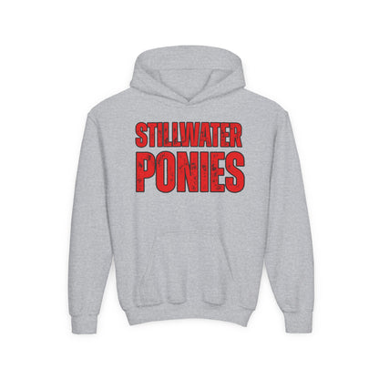 Stillwater Ponies Youth Hoodie
