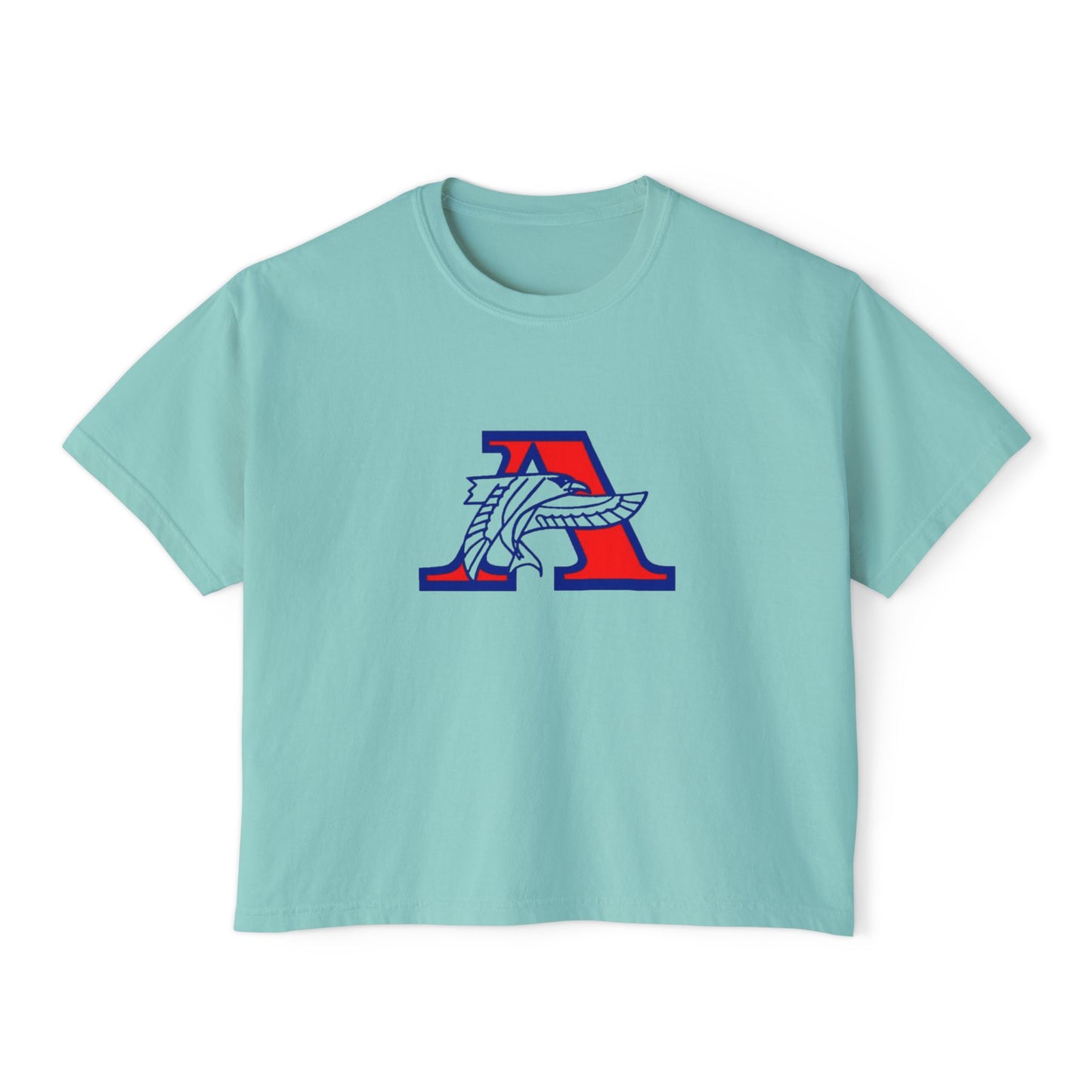 Robbinsdale Armstrong Falcons Trendy Women's Boxy Tee