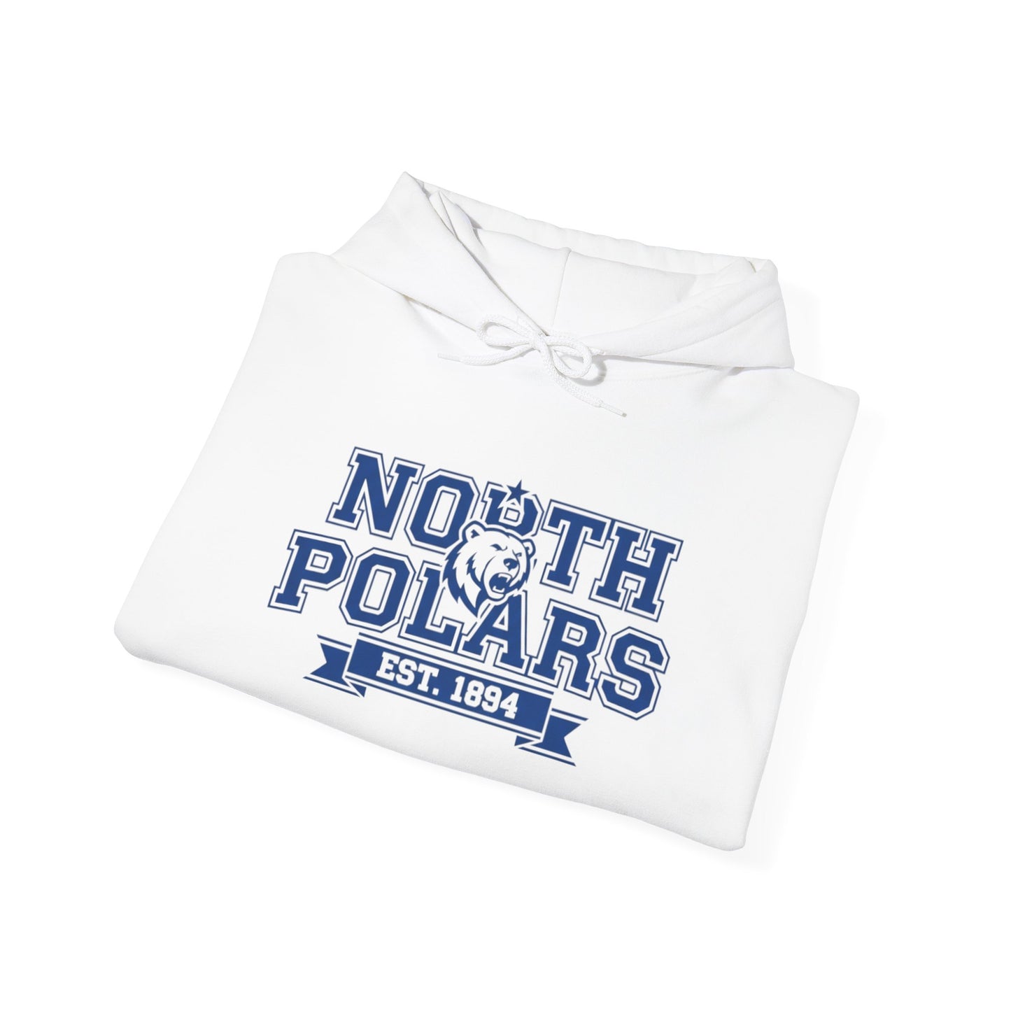 Minneapolis North Polars Vintage Design Sweatshirt