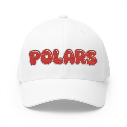 North Saint Paul Polars Bubble Logo Embroidered Cap
