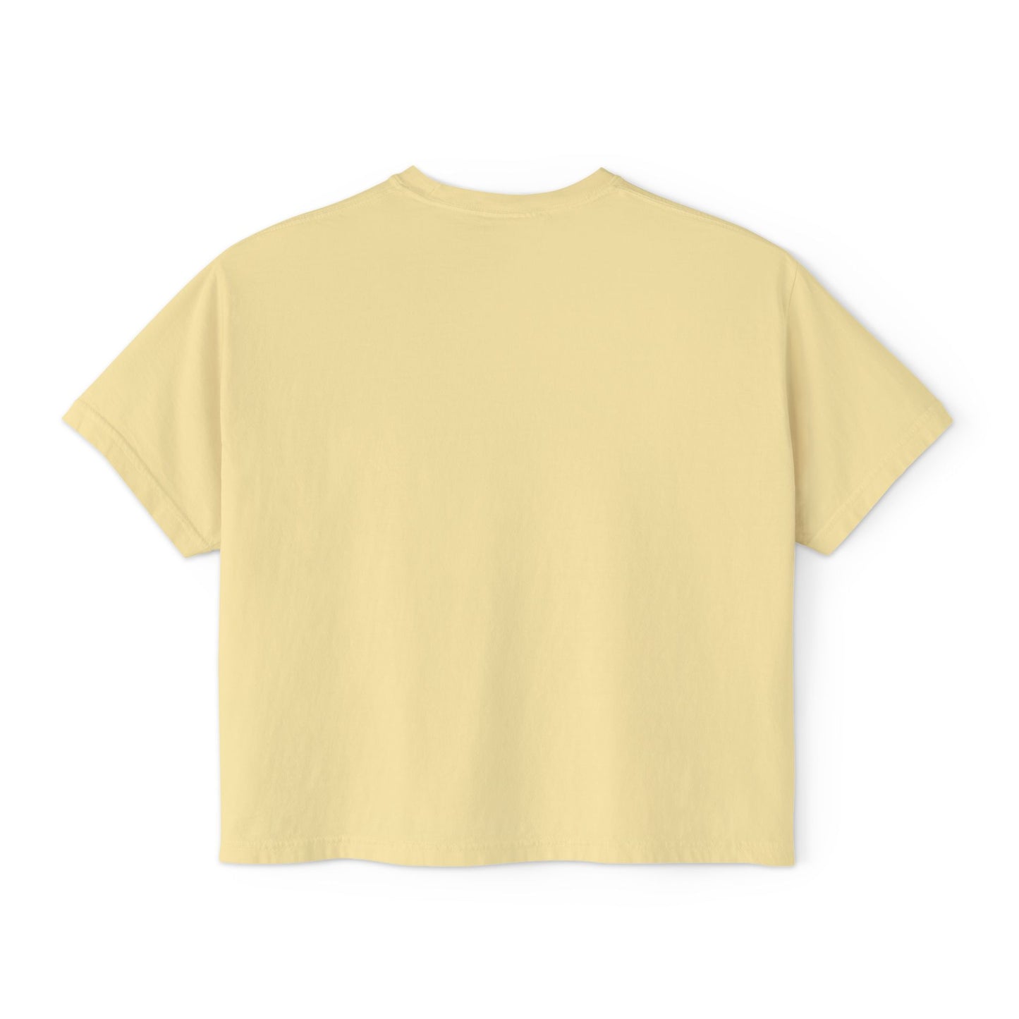 Minneapolis Washburn Millers Casual Women's Boxy Tee