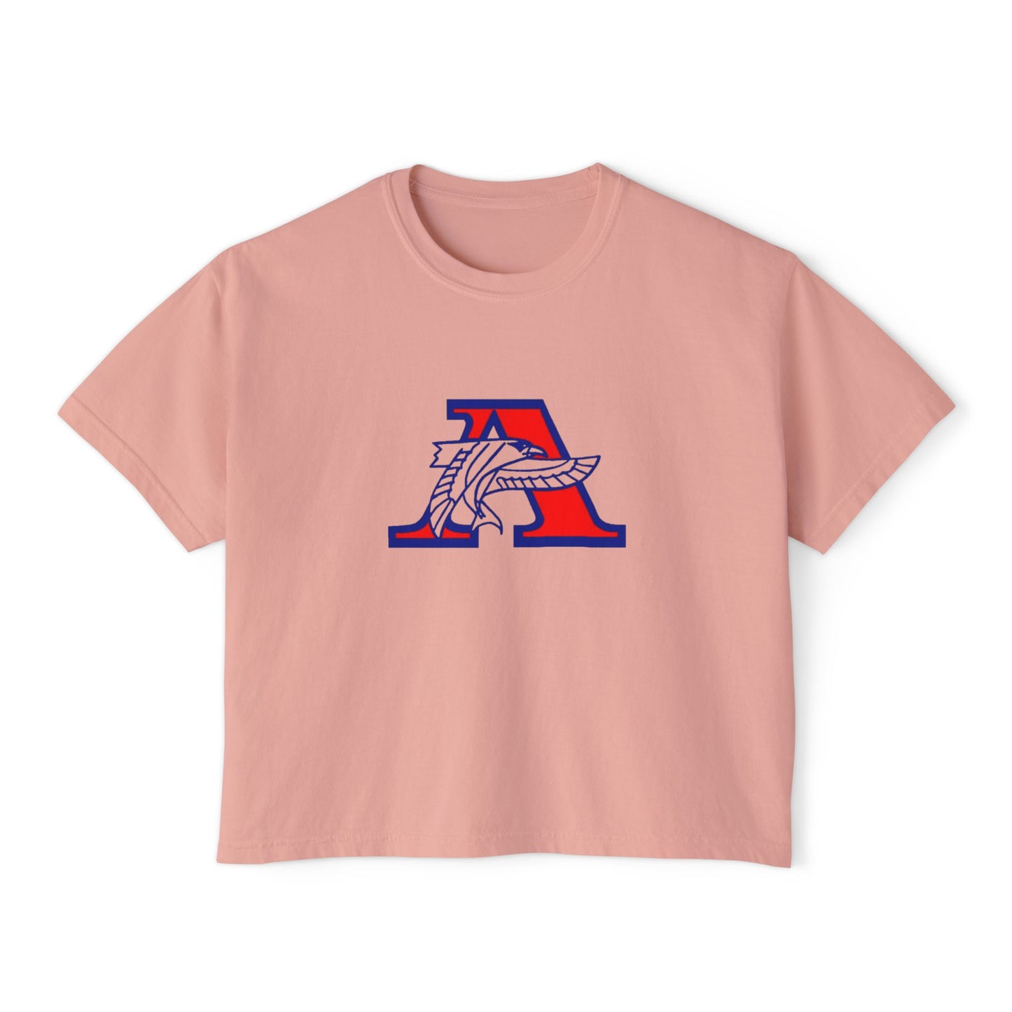 Robbinsdale Armstrong Falcons Trendy Women's Boxy Tee