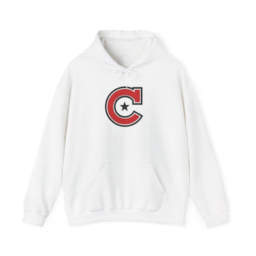 Minneapolis Camden Stylish Unisex Sweatshirt, Cozy Casual Hoodie for Everyday Wear