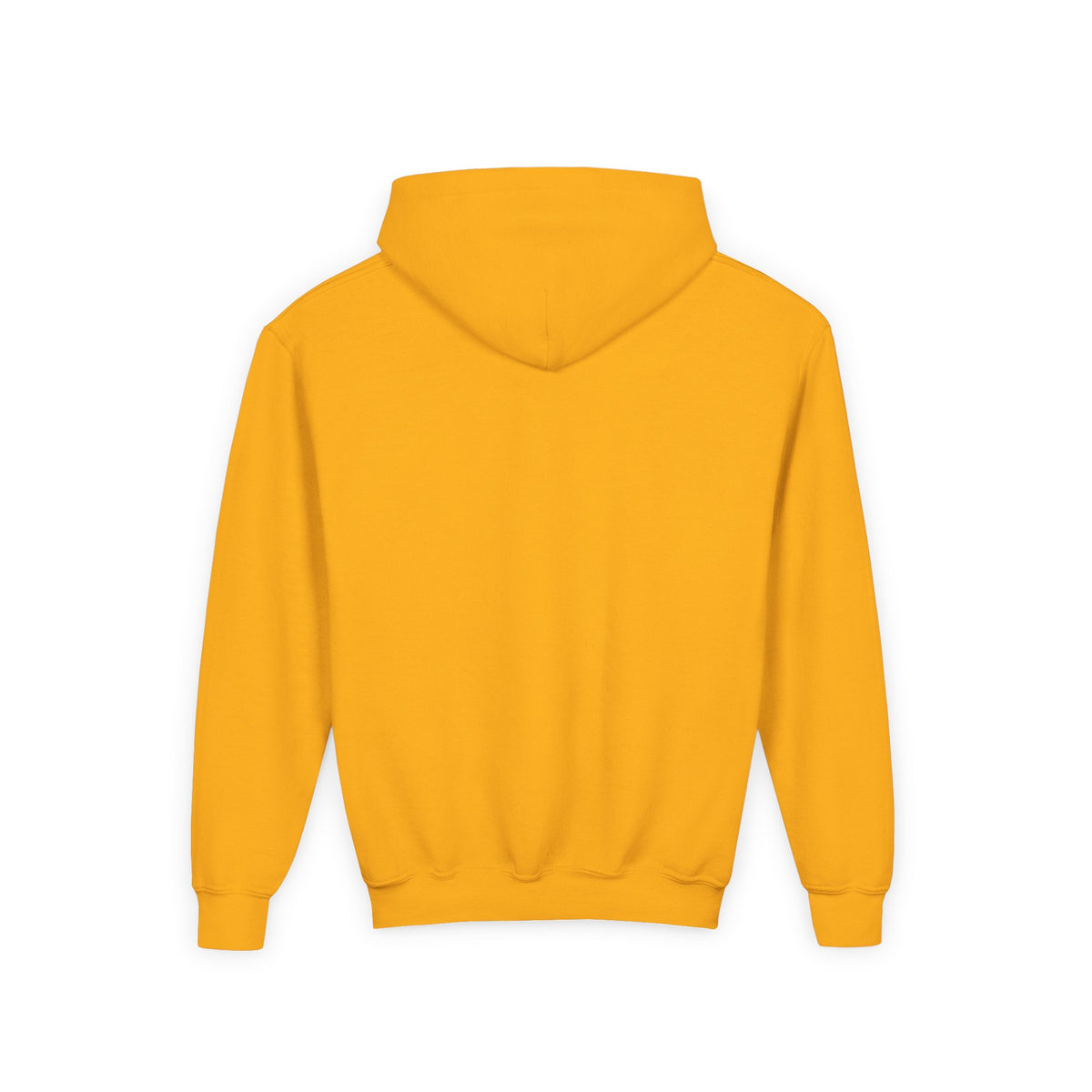 Columbia Heights Hylanders Youth Hooded Sweatshirt