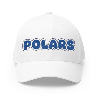 Minneapolis North Polars Embroidered Cap - Classic Style Hat