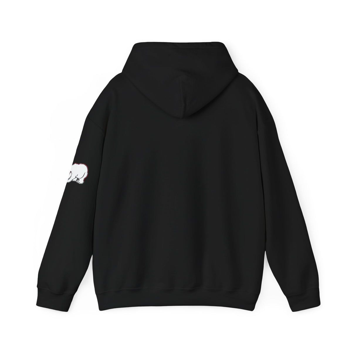 North Saint Paul Polars Black Block Hoodie